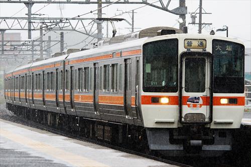 JR東海311系(G11編成/感謝HM)